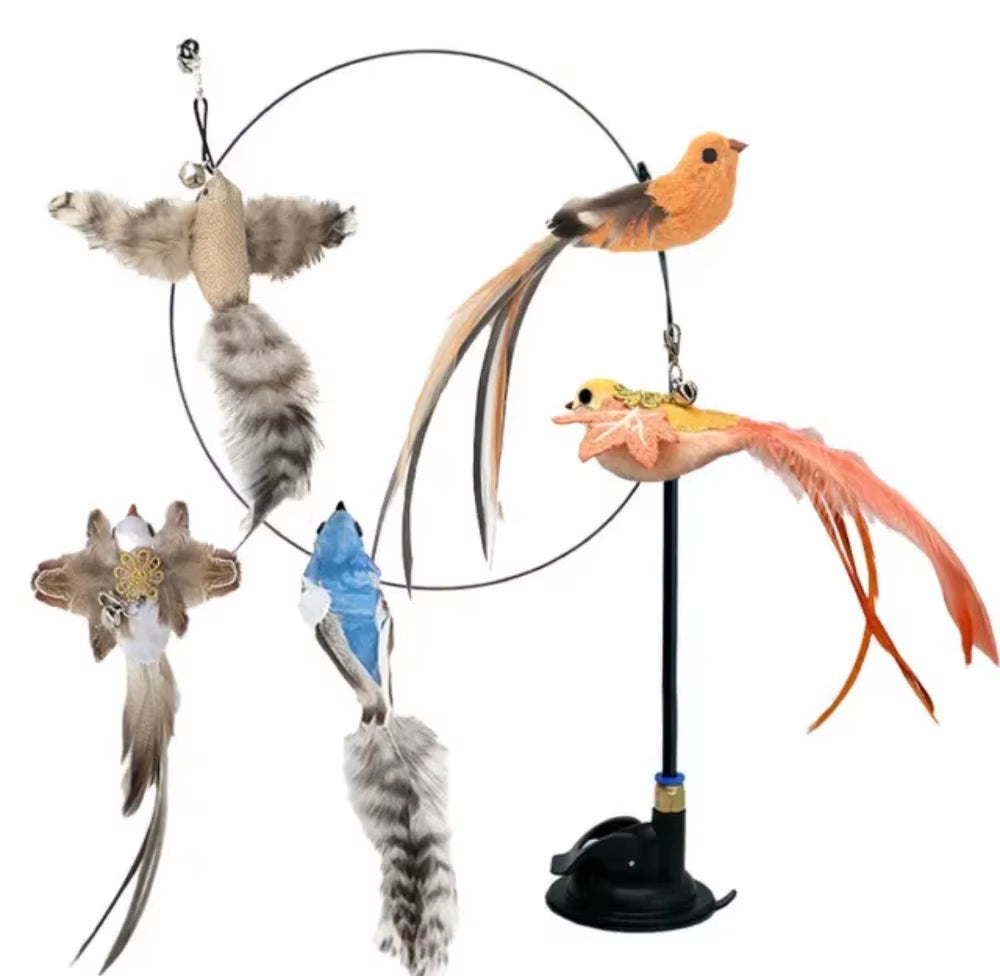 Interactive Cat Toy Set Bird Simulation | Pet Boys Shop