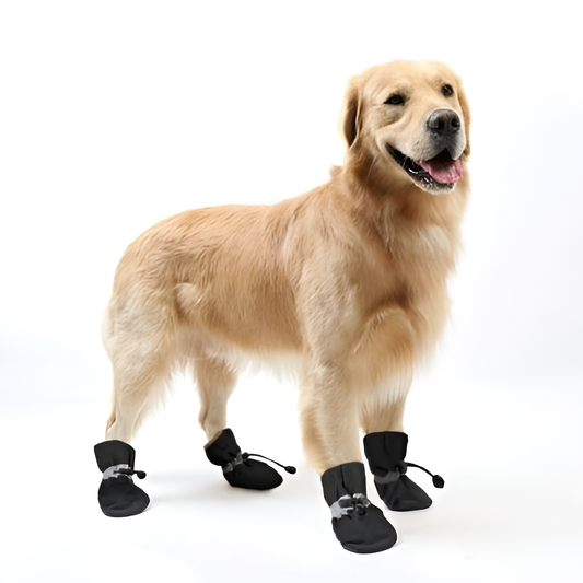 Pet boys Water-Resistant Dog Boots