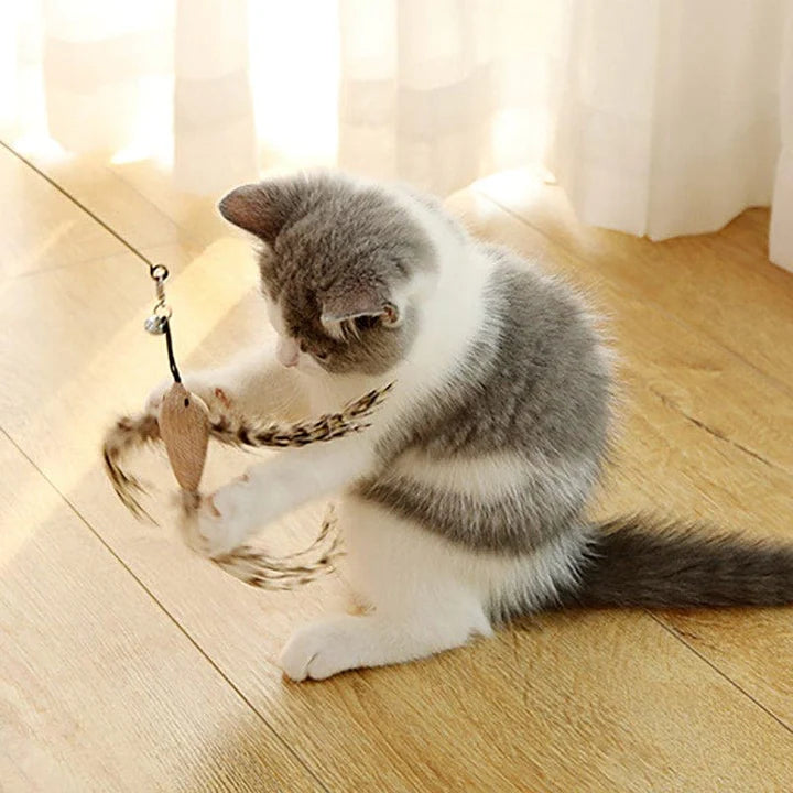 Interactive Cat Toy Set Bird Simulation | Pet Boys Shop